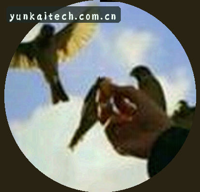 周杰